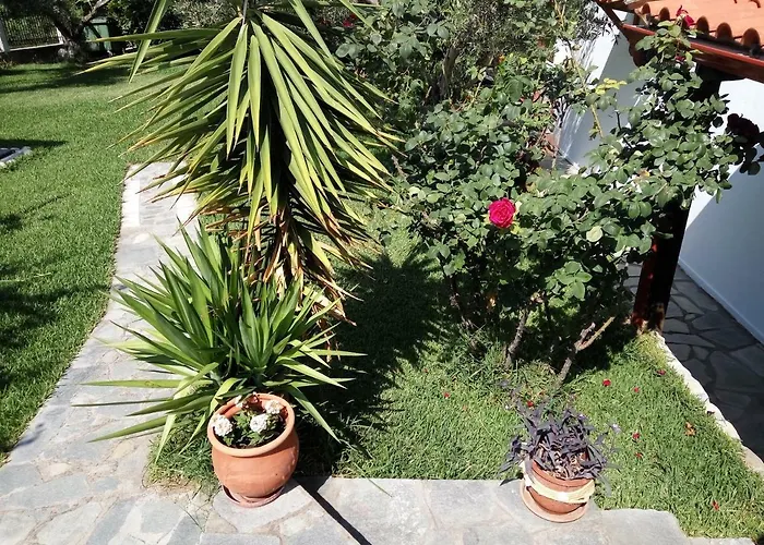 Fantasia And * Néos Marmarás