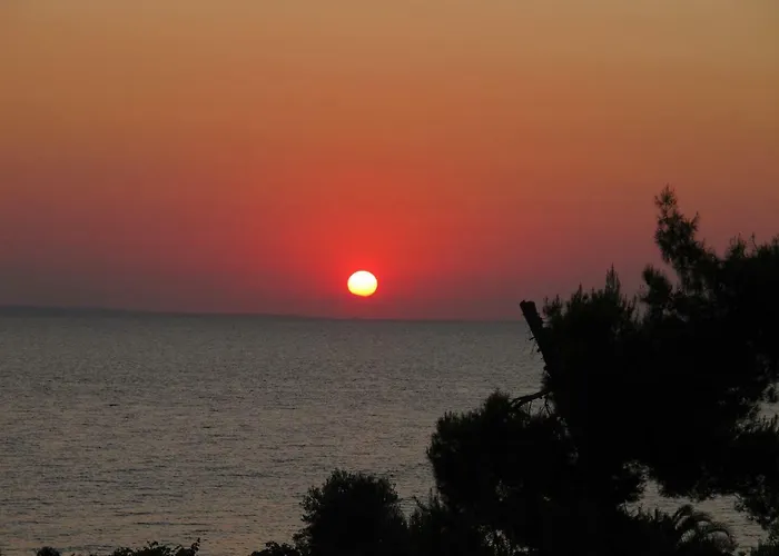 Fantasia And Apartamento