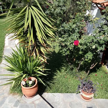 Fantasia And * נאוס מרמרס